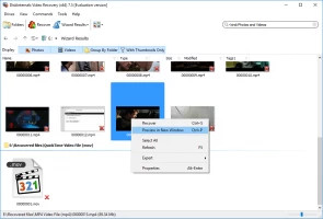 DiskInternals Video Recovery™ Video Recovery - все восстановленные файлы.
