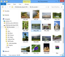 DiskInternals Data Recovery Software Partition Recovery 4.2 - preview files